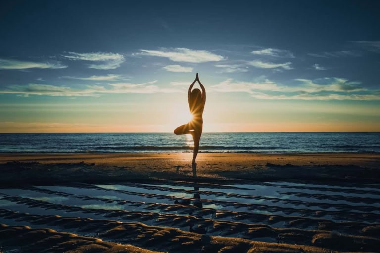 Stepping Onto the Mat The Best Yoga Exercises for Complete Beginners